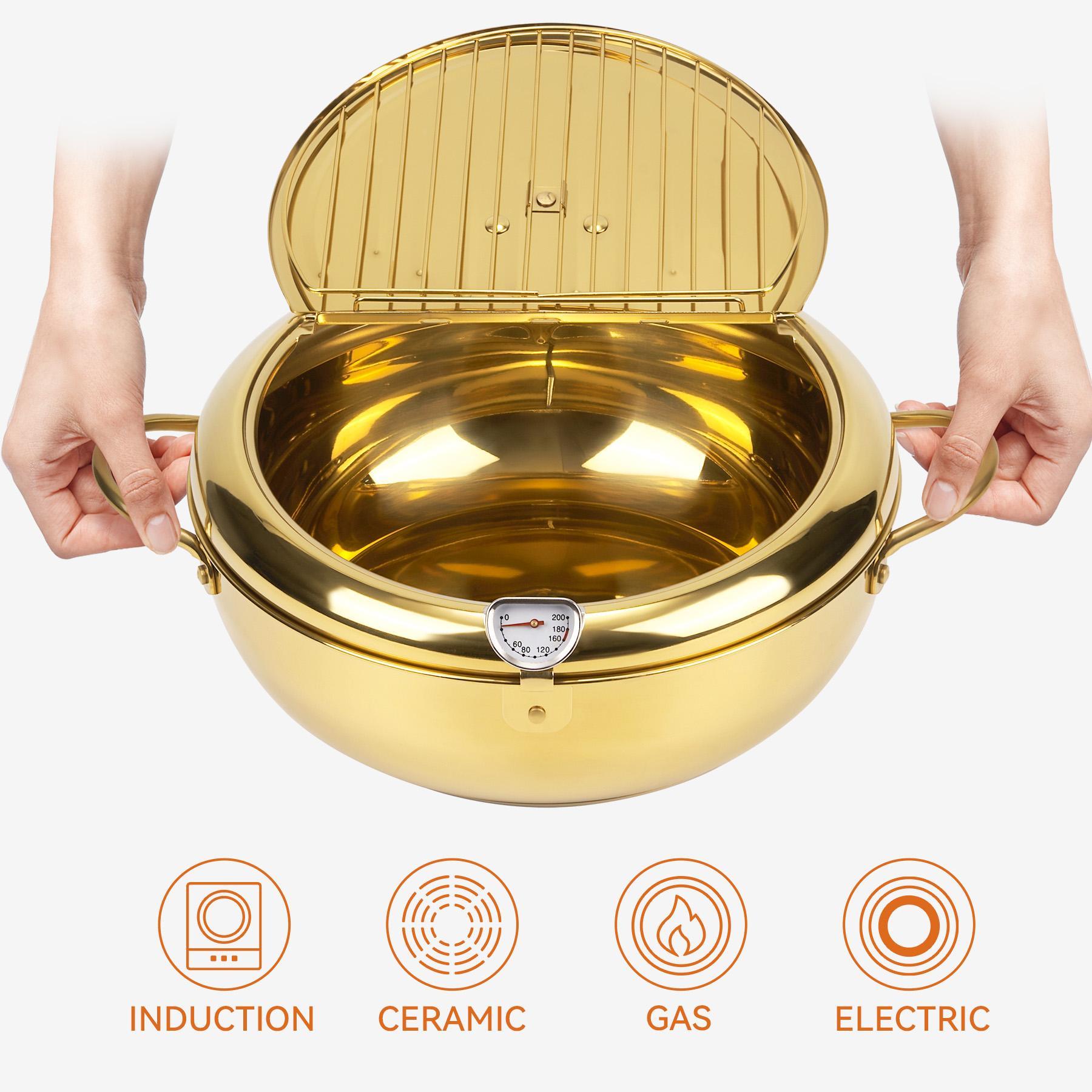 electric skillet pot Stainless Steel