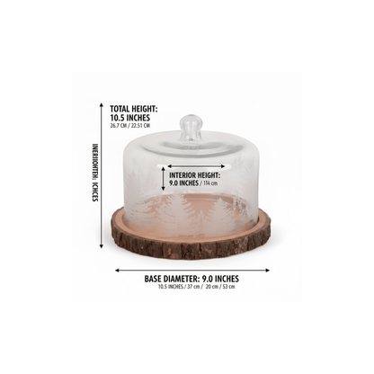 White ceramic cake stand with dimensions on a white background